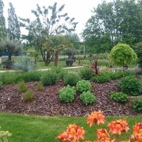 Taille de haie et arboriculture à Cagnes-sur-Mer