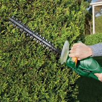 Conseil paysagiste à Cagnes-sur-Mer par Sanchez Garden